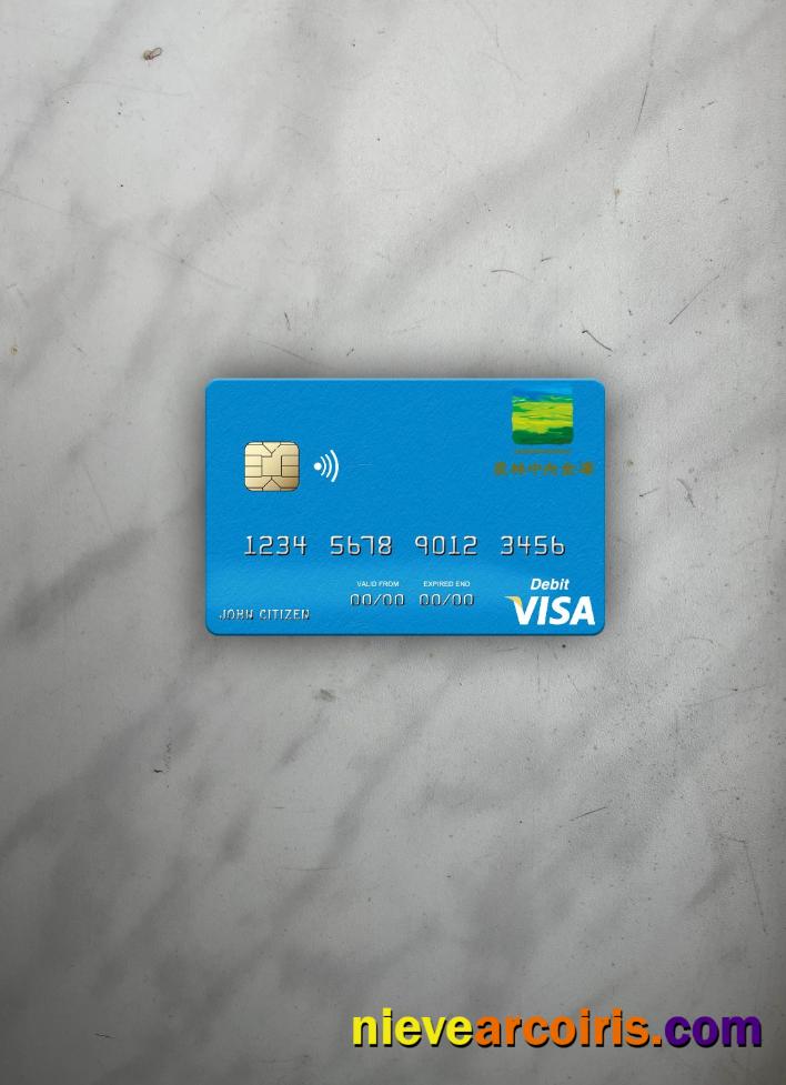 Japan Norinchukin Bank visa debit card photolook